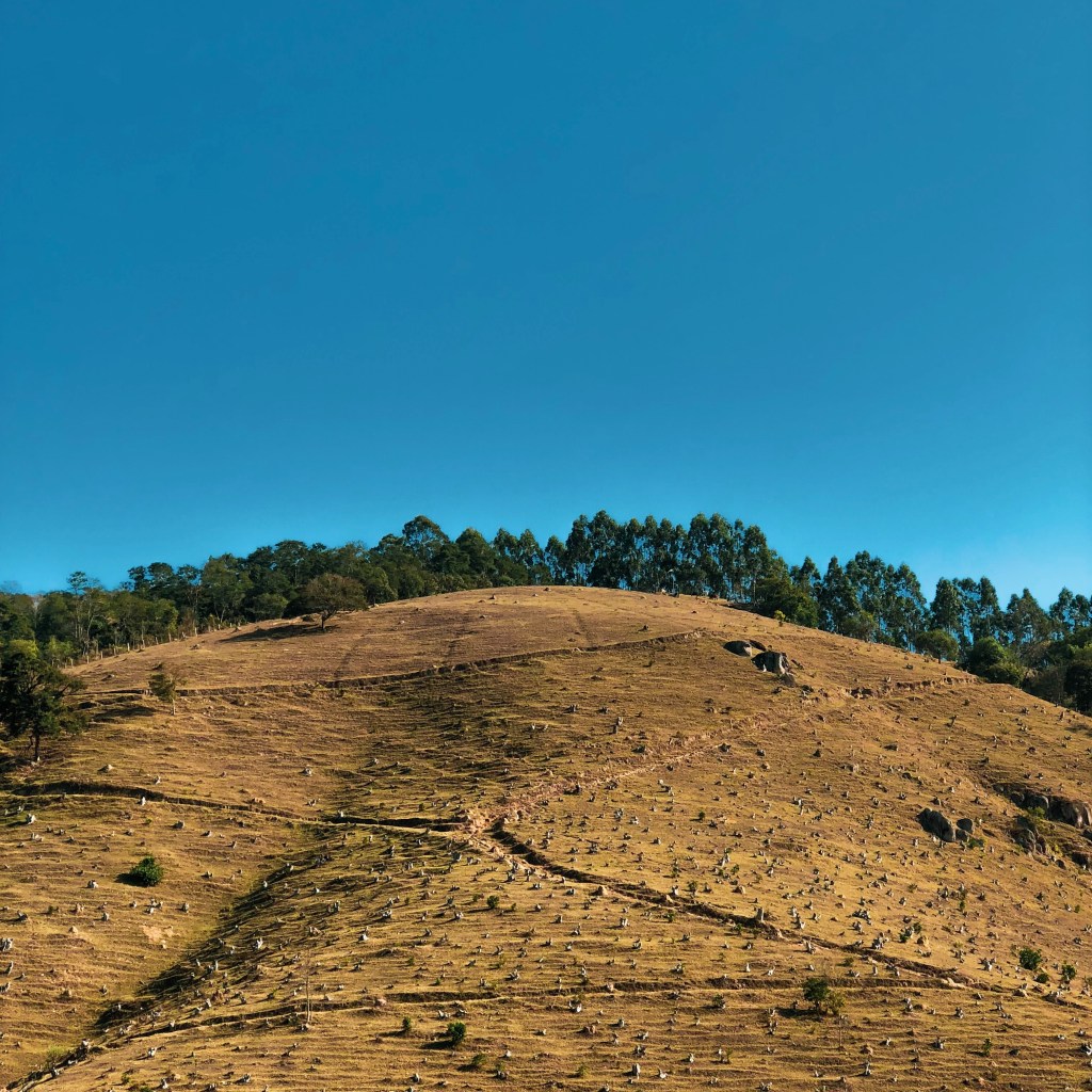 Apresentação do Blog